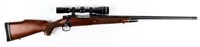 Gun Winchester Model 70 Bolt Action Rifle 375 H&H