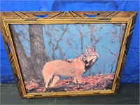 Wolf Framed Print