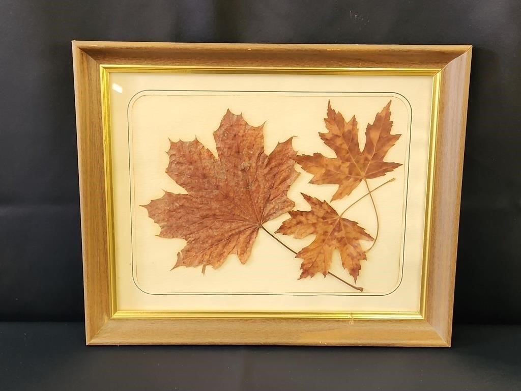 FRAMED & MATTED AUTUMN LEAVES