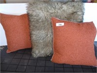 2 Decorartive Pillows