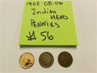 1902 indian head penny lot