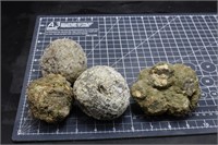 Thundereggs, 3lbs 12oz