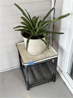 little end table and potted plant