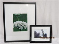 2 framed photographs