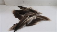 Fly Fishing Materials-Wing Feathers