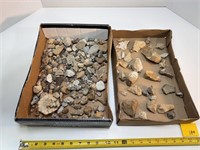 2 Flats of Artifacts & Fossils