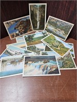 15 VINTAGE POST CARDS OF ID / WA / OR / WY - LOT 8