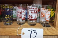 Vintage State Tumblers