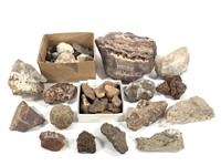 Large Box of Assorted Rocks & Fossils