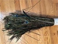 Real Peacock Feathers Lot