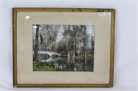 Vintage Florida Souvenir Print - Cypress Trees