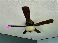 Ceiling fans