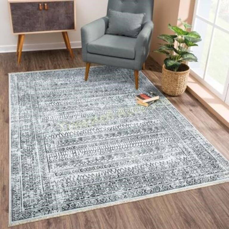 Washable Non-Slip 3.5x5' Rug