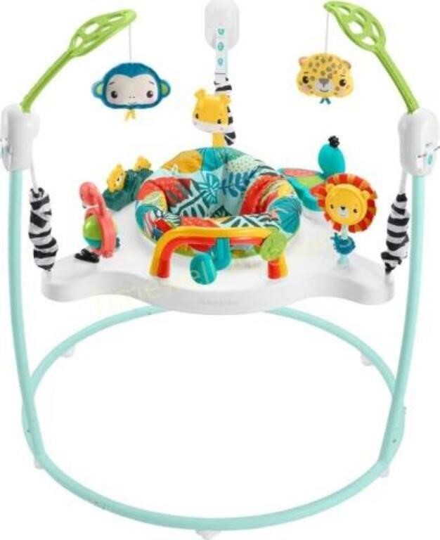 Fisher-Price Jumperoo Baby Activity Center