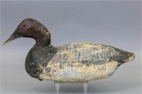 Canvasback Drake Duck Decoy by Unknown Carver