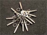 Pocket Watch Keys (12)