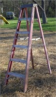 Davidson 6' Step Ladder