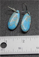 Pair of Stone Earrings