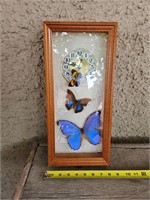 Realistic Butterfly Wall Clock