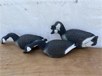 Goose Decoys