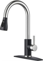 FORIOUS Kitchen Faucet  Black & Brushed Nickel