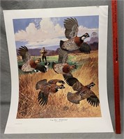 1992 Covey Burst-Bobwhite Quail Lynn B Hunt