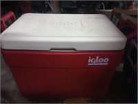 Igloo cooler