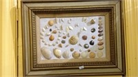 Framed seashell art piece measures 18 x 15
