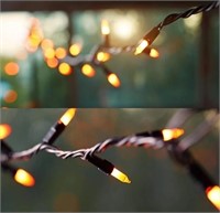 Mini Orange String Lights