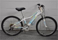 Police Auction: Giant Youth Bike
