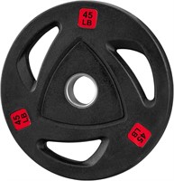 45LB Olympic Cast Iron Weight Plates
