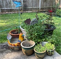 Pots and Plants including Talavera