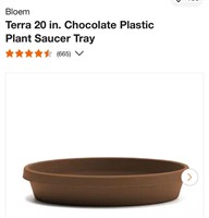 Chocolate Plastic Plant Saucer Tray