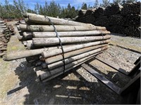 1 Bundle Used 7’x4" Treated Posts