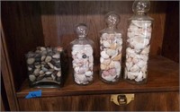 Apothecary jars of shells
