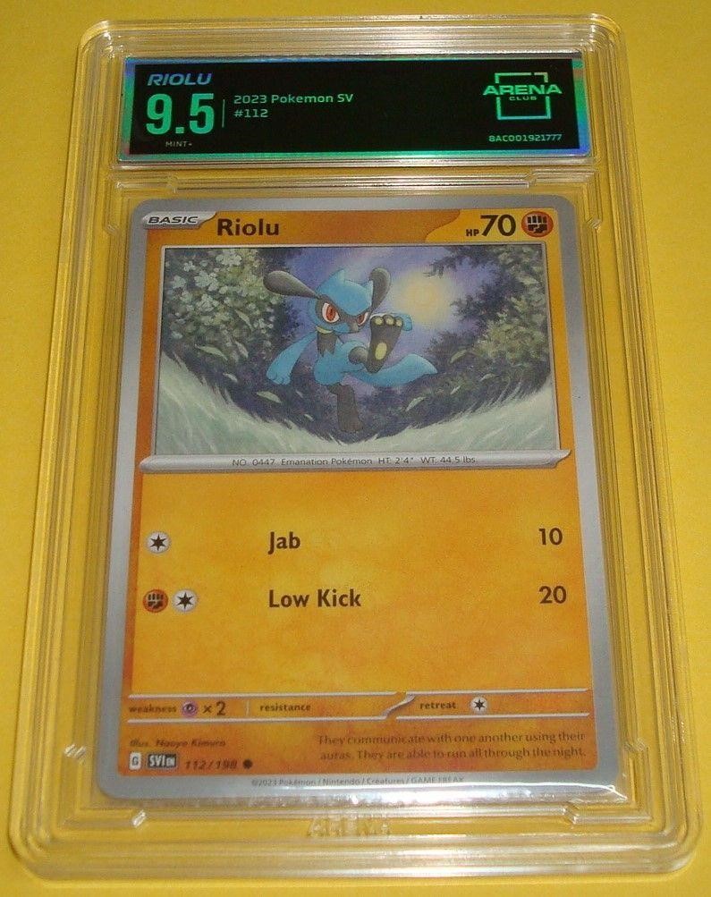 Pokemon Card and Non Sports Collectible Auction