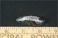 Polished Orthoceras Fossil,  14 grams