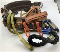 POLE CLIMBING BELT