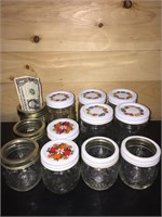 Small Fruit Canning Jars (12)