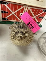 DRIED PUFFER FISH NOTE