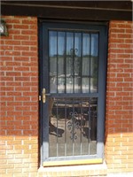 Security storm doors