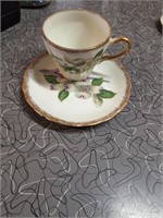 Cup and  saucer