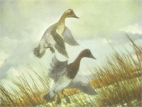 Framed Wildlife Geese Art Print by Sloane