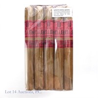 Hellion-Oliva Devil's Own Churchill Cigar 5 Pack