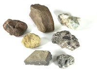 7 Stones / Fossils, Carnelion +