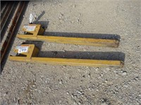 Clamp on Pallet Forks