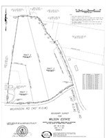 (Tract 2) Wilkinson Rd, Cottontown TN 37048