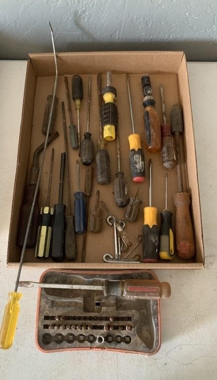 Various Screwdrivers: Flat, Phillips, etc.