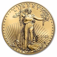 2023 1/10 Oz American Gold Eagle Coin Bu
