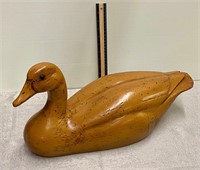 Wood duck (as is)